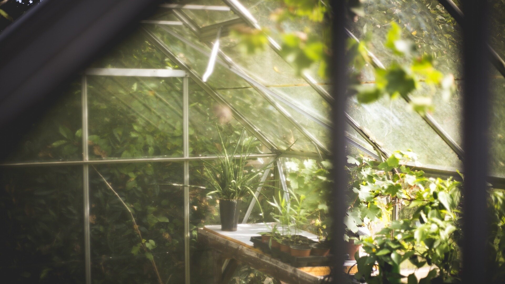 garten-eigener-gartenhaus-gartenmoebel-einrichten-wohnen-06